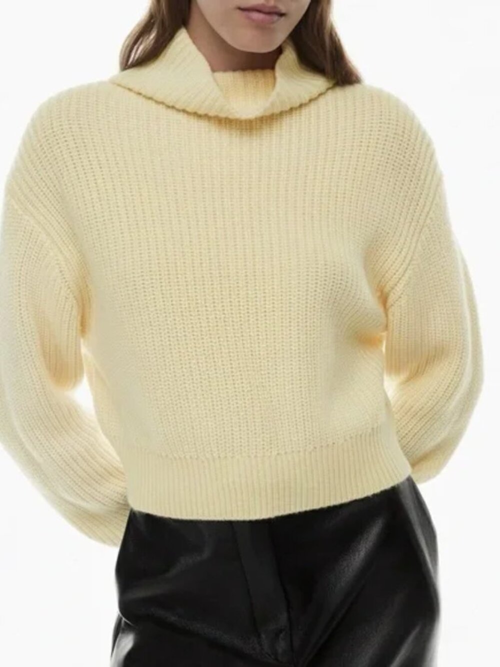 WILFRED Merino Wool Turtleneck Sweater - Picture 1 of 1